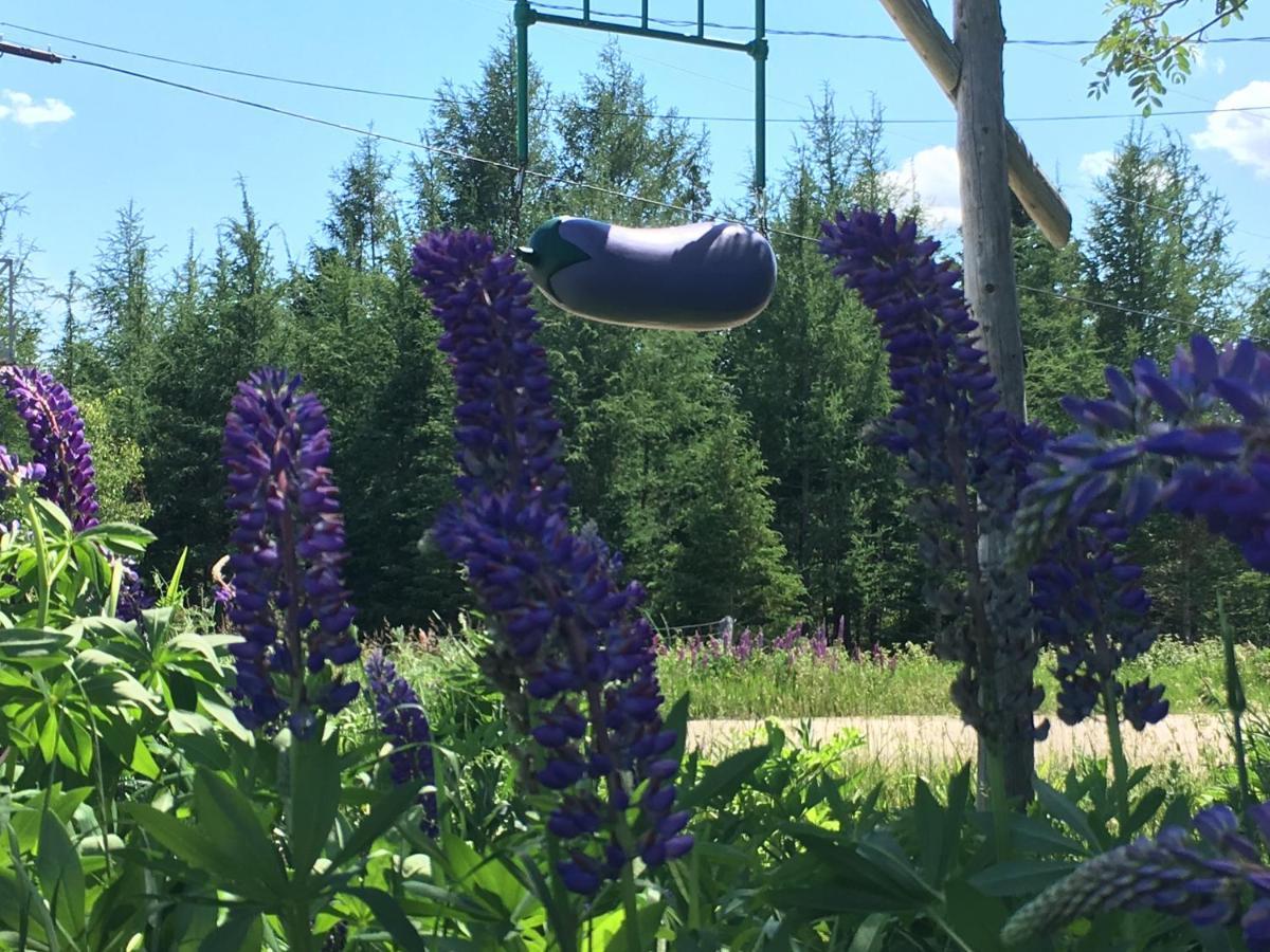 L'Aubergine Hotell Saint Hilarion Exteriör bild